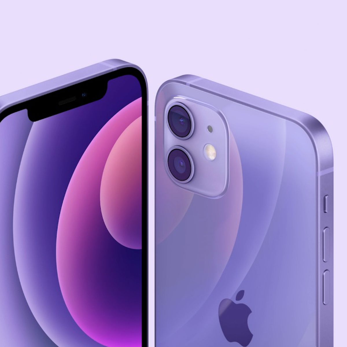 iphone-12-preorder-purple